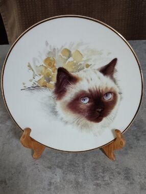 Decorative Cat Plate with Brown and Cream Siamese Design